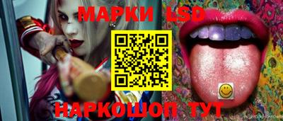 spice Кунгур