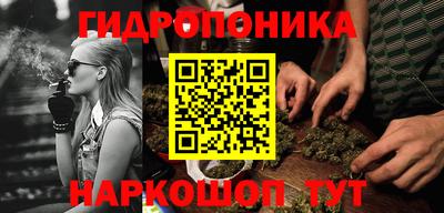 spice Кунгур