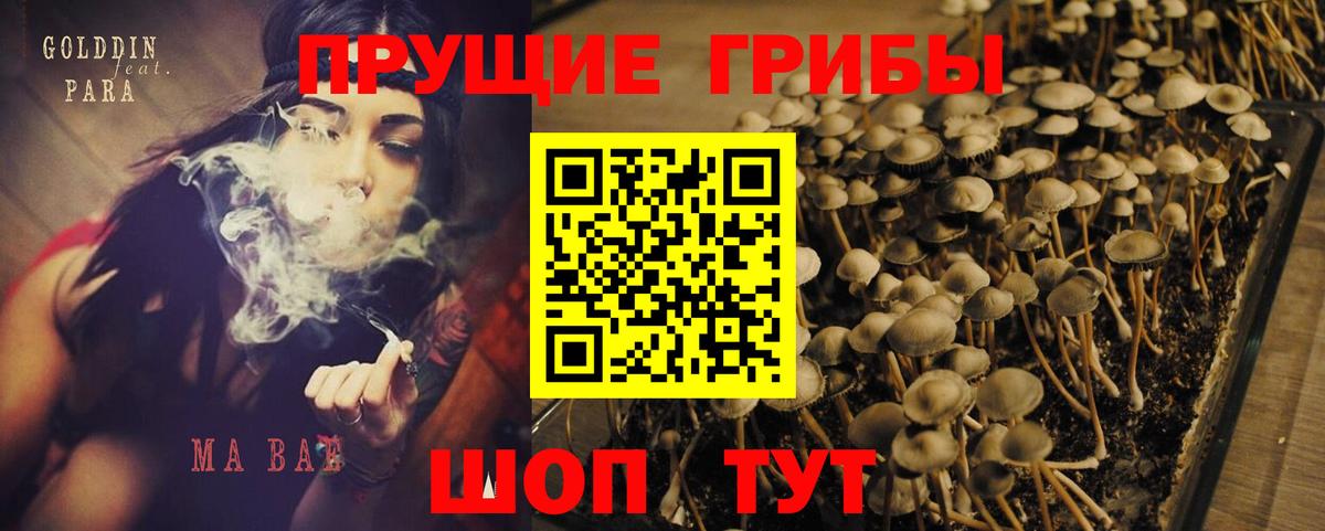 Псилоцибиновые грибы ЛСД Вышний Волочёк